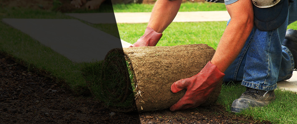 Dyersburg Landscapers